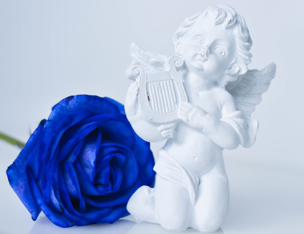 Angel Products to buy at esowikishop