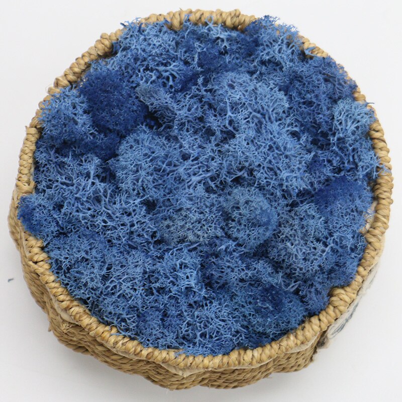 Artificial Eternal Life Moss