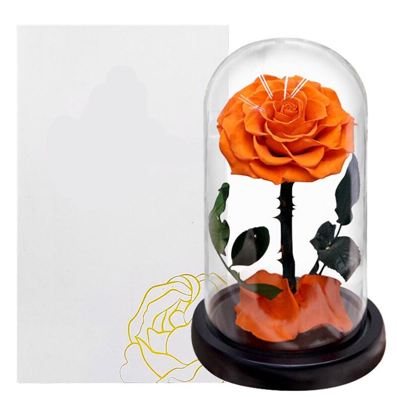 Red Eternal Roses with Light In Glass