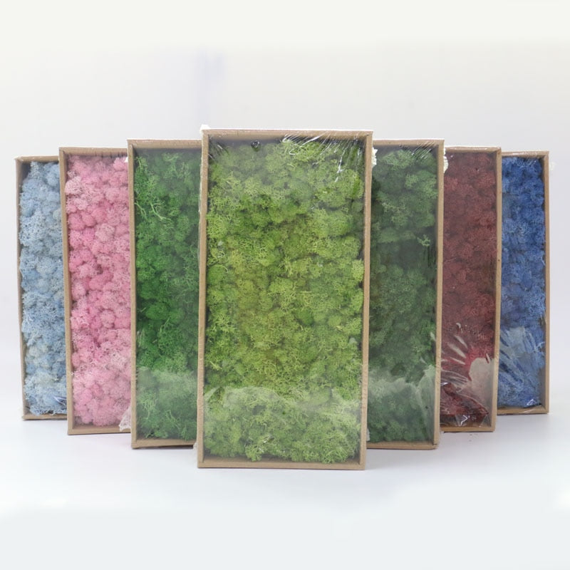 Artificial Eternal Life Moss