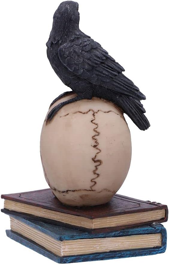 Nemesis Now Raven's Spell 10,3 cm, Schwarz