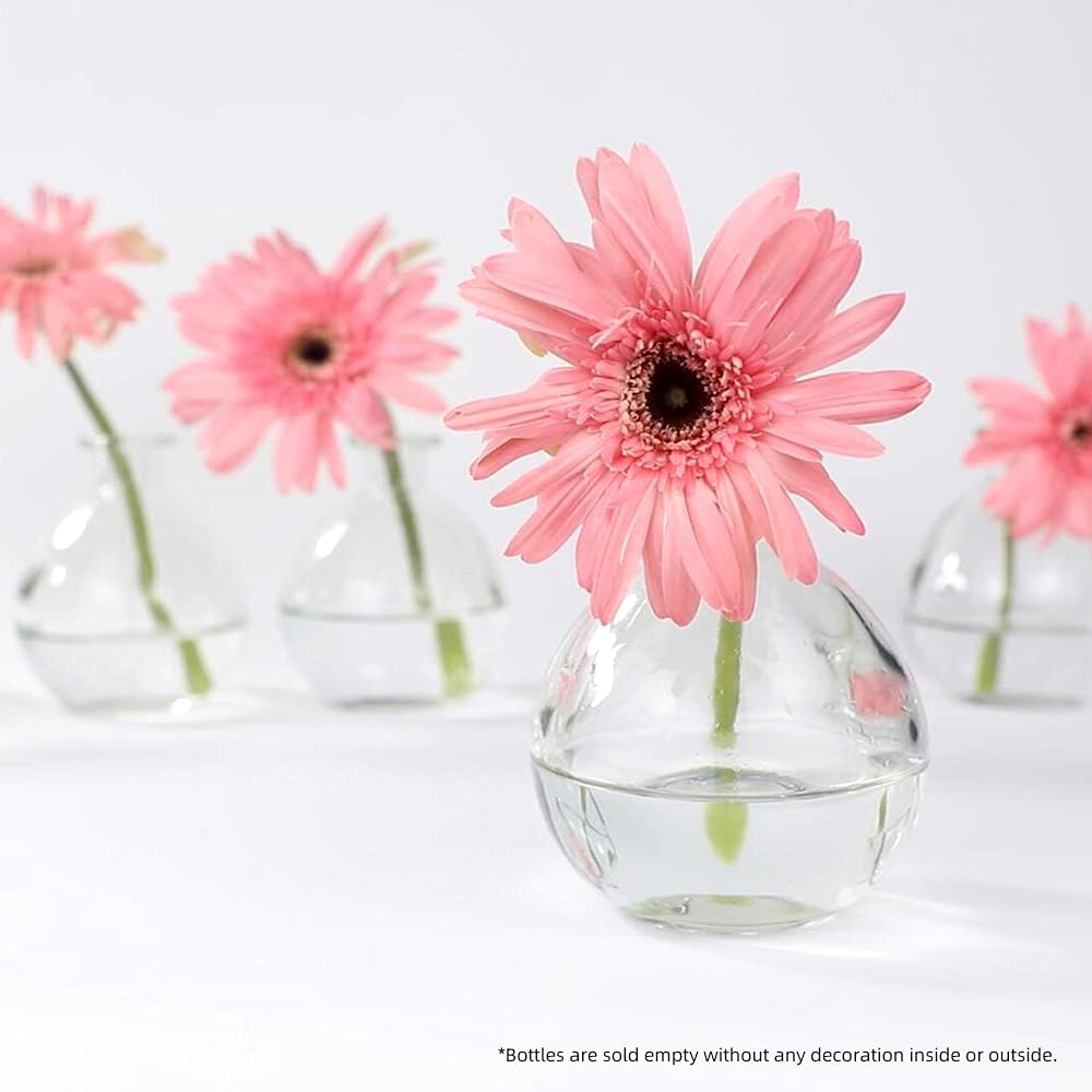 Magic Season Dekorative Glasflasche mit Korkverschluss(260ml Zaubertrank Flaschen / 6 Stück)