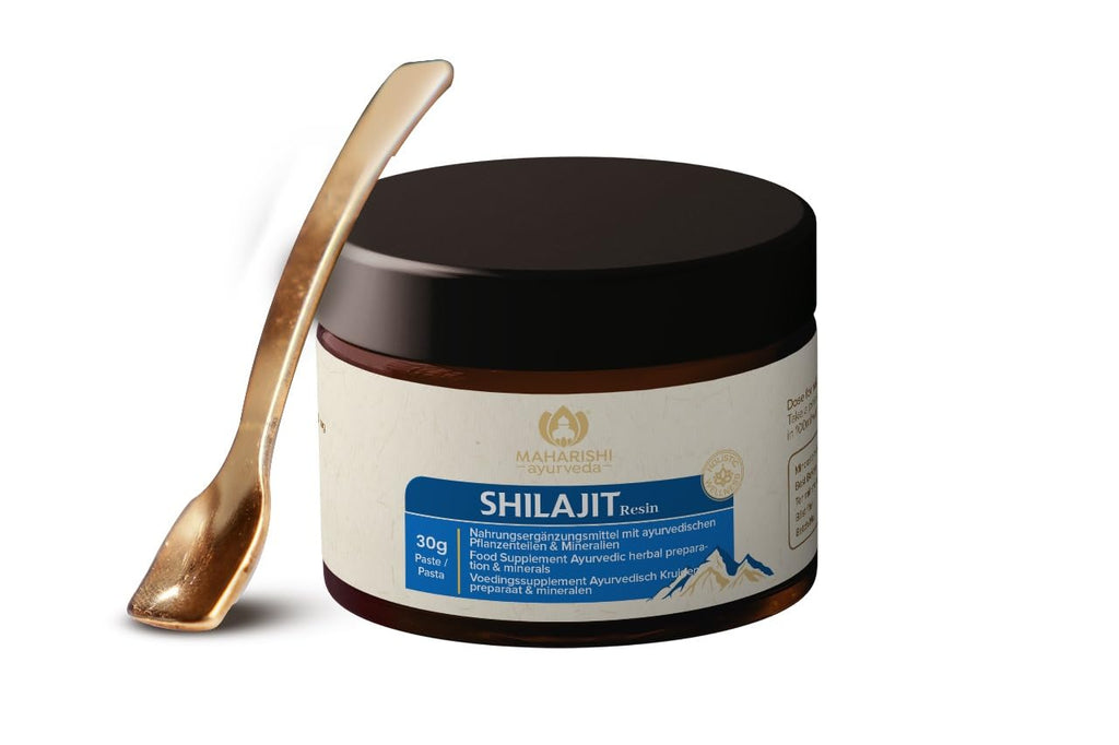 Maharishi Ayurveda Shilajit 995 mg Nahrungsergänzungsmittel mit ayurvedischen Pflanzenteilen & Mineralien 60 Tabs 1er Pack