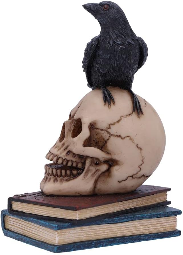 Nemesis Now Raven's Spell 10,3 cm, Schwarz