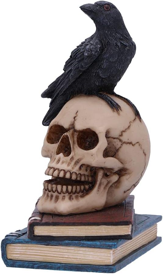 Nemesis Now Raven's Spell 10,3 cm, Schwarz