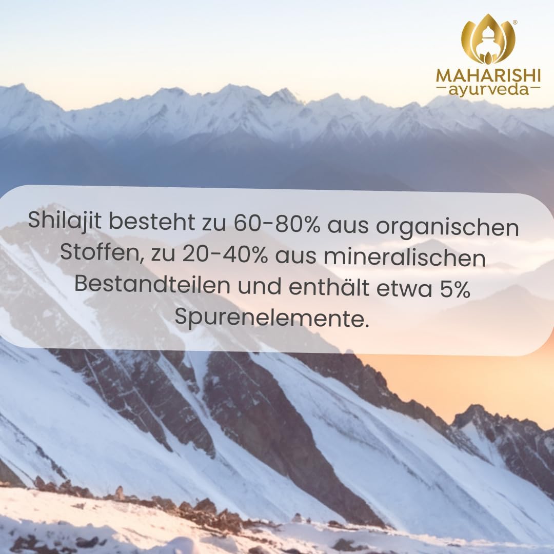 Maharishi Ayurveda Shilajit 995 mg Nahrungsergänzungsmittel mit ayurvedischen Pflanzenteilen & Mineralien 60 Tabs 1er Pack