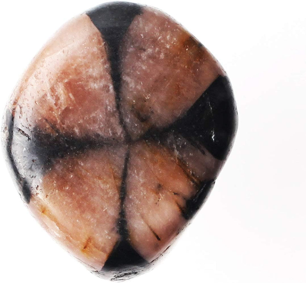 NUJA 1 Piece Natural Chiastolite Polished Stone Cross Stone Andalusite Crystal Pendant Hand Palm Stone Healing Gift