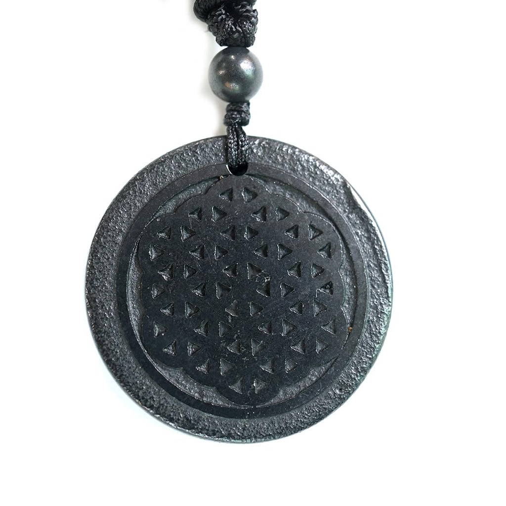 RICHRAIN Halskette mit Anhänger aus echtem natürlichem Schungit, spirituelle Geschenke für Frauen, Kristallheilung, Kristallgeschenke für Männer (Tree of Life)