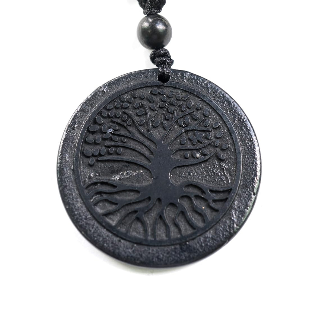 RICHRAIN Halskette mit Anhänger aus echtem natürlichem Schungit, spirituelle Geschenke für Frauen, Kristallheilung, Kristallgeschenke für Männer (Tree of Life)
