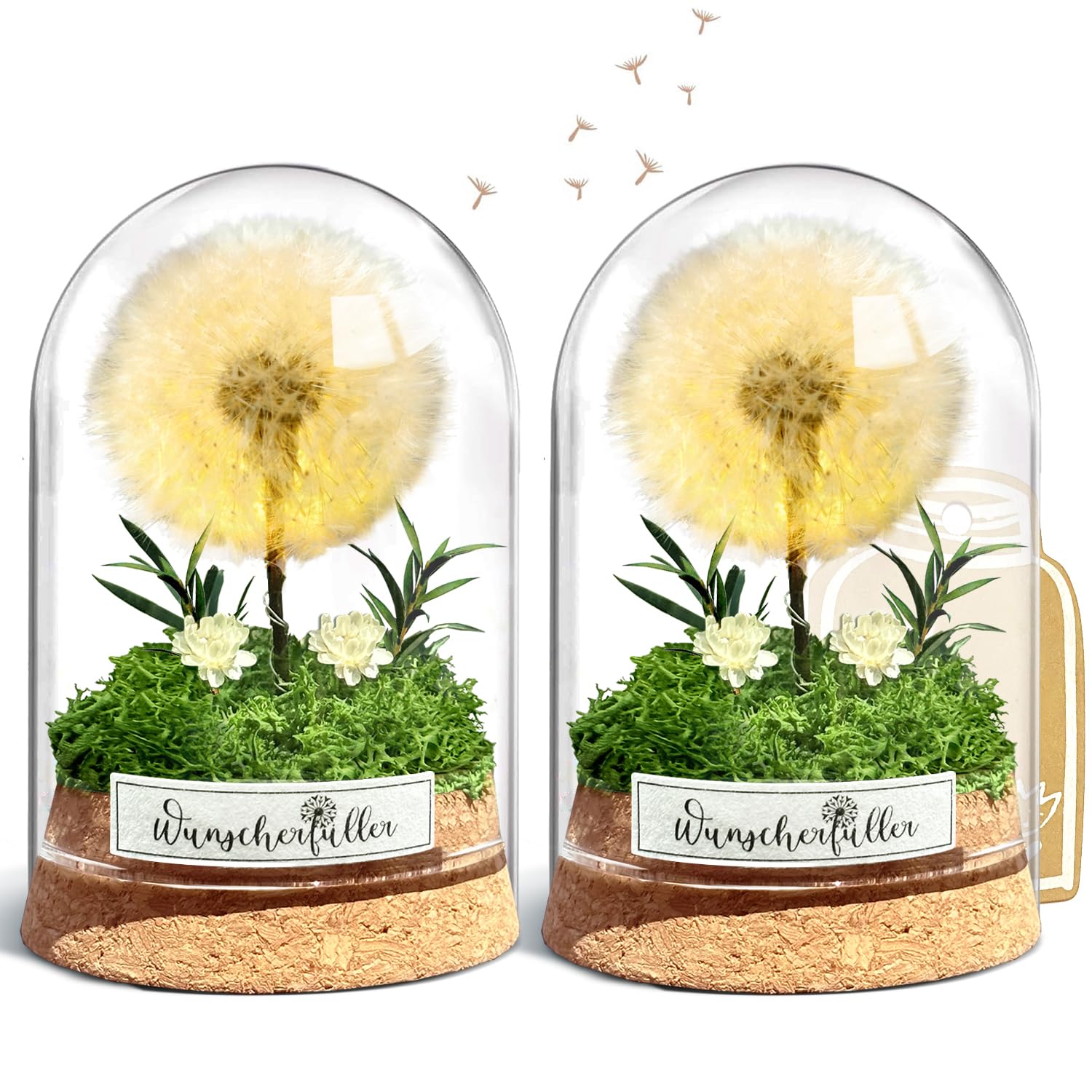 Wunscherfüller mit LED Licht, Echte Pusteblume im Glass, Ewig Geburtstagsgeschenk für Frauen Freundin Mädchen Geschenke für Geburtstag Hochzeit Jugendweihe Weihnachten Valentinstag