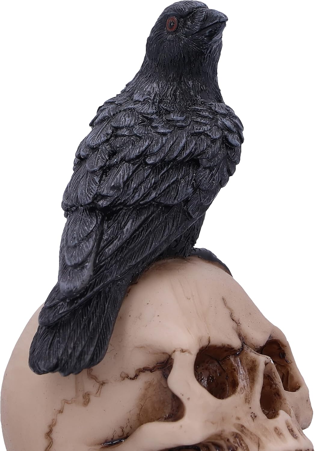 Nemesis Now Raven's Spell 10,3 cm, Schwarz