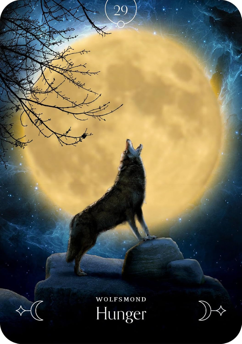 Queen of the Moon Orakel: Die Energie des Mondes zeigt dir den Weg - 44 Karten und Begleitbuch