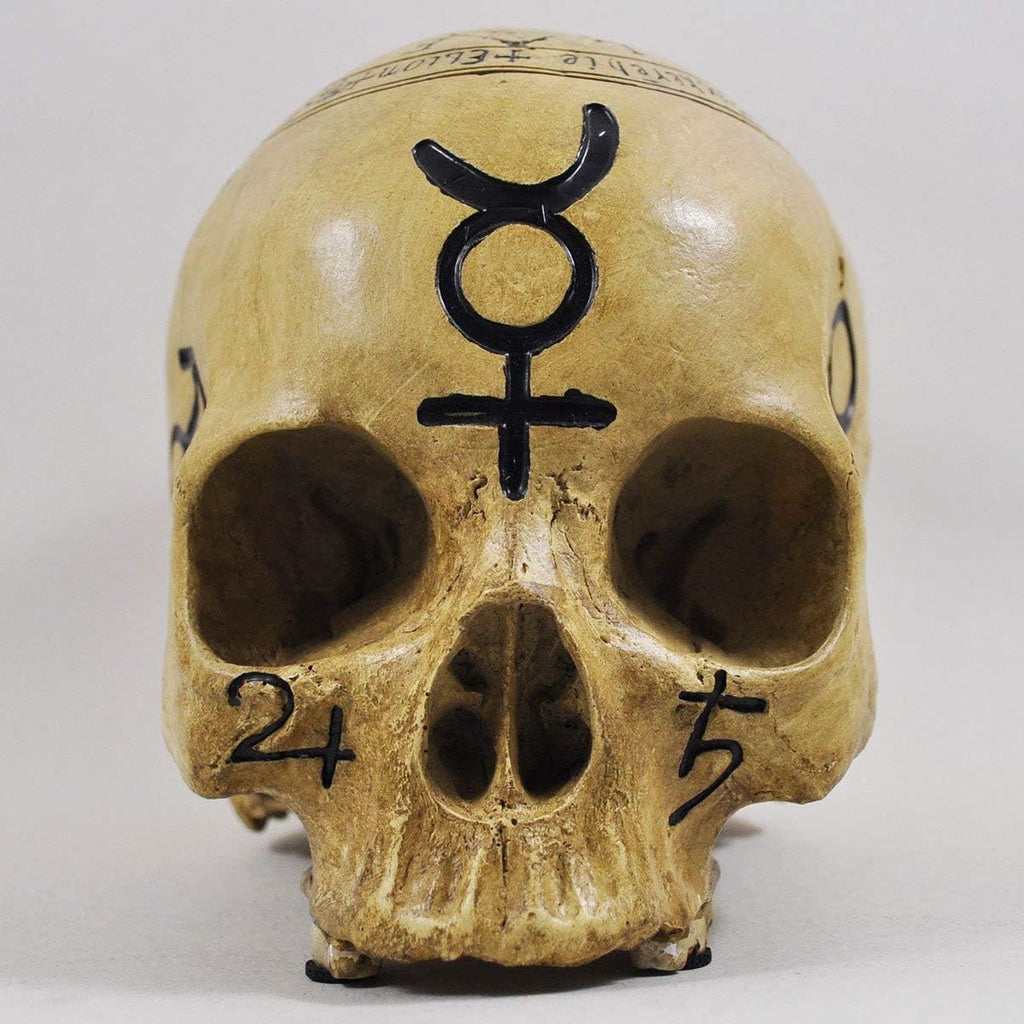 Witchcraft Skull Skull Ornament Decoration