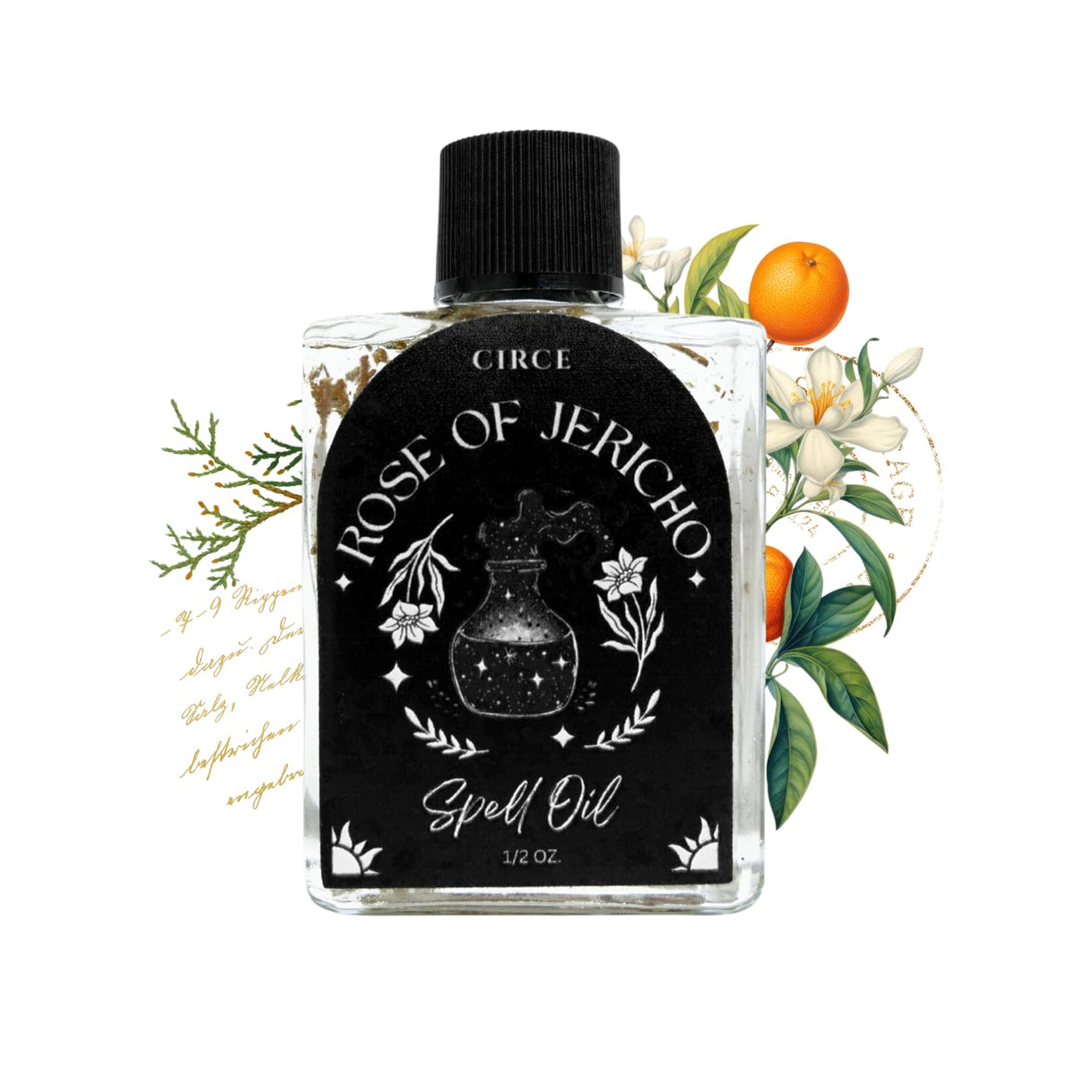 CIRCE Evil Eye Protection Spell Oil - Energy Defense, Rosemary & Rue, 1/2oz
