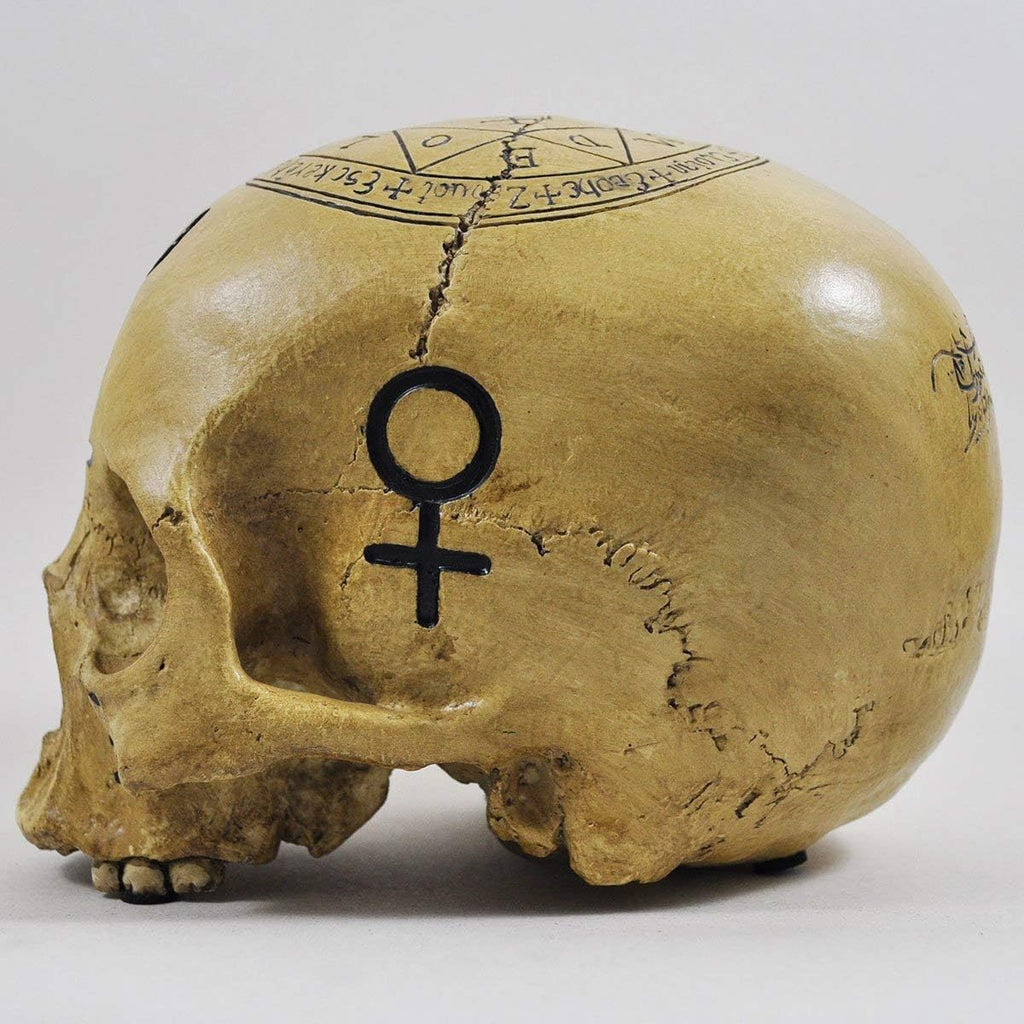 Witchcraft Skull Skull Ornament Decoration