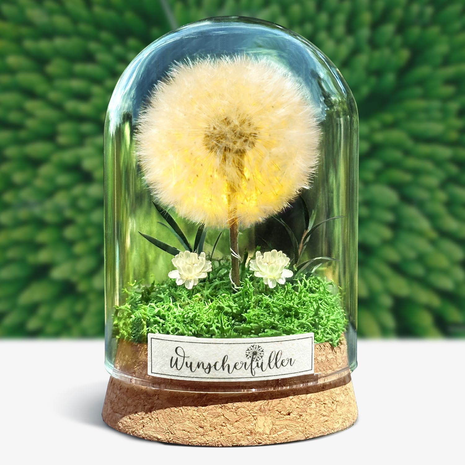 Wunscherfüller mit LED Licht, Echte Pusteblume im Glass, Ewig Geburtstagsgeschenk für Frauen Freundin Mädchen Geschenke für Geburtstag Hochzeit Jugendweihe Weihnachten Valentinstag