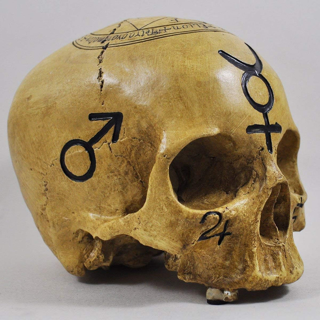 Witchcraft Skull Skull Ornament Decoration