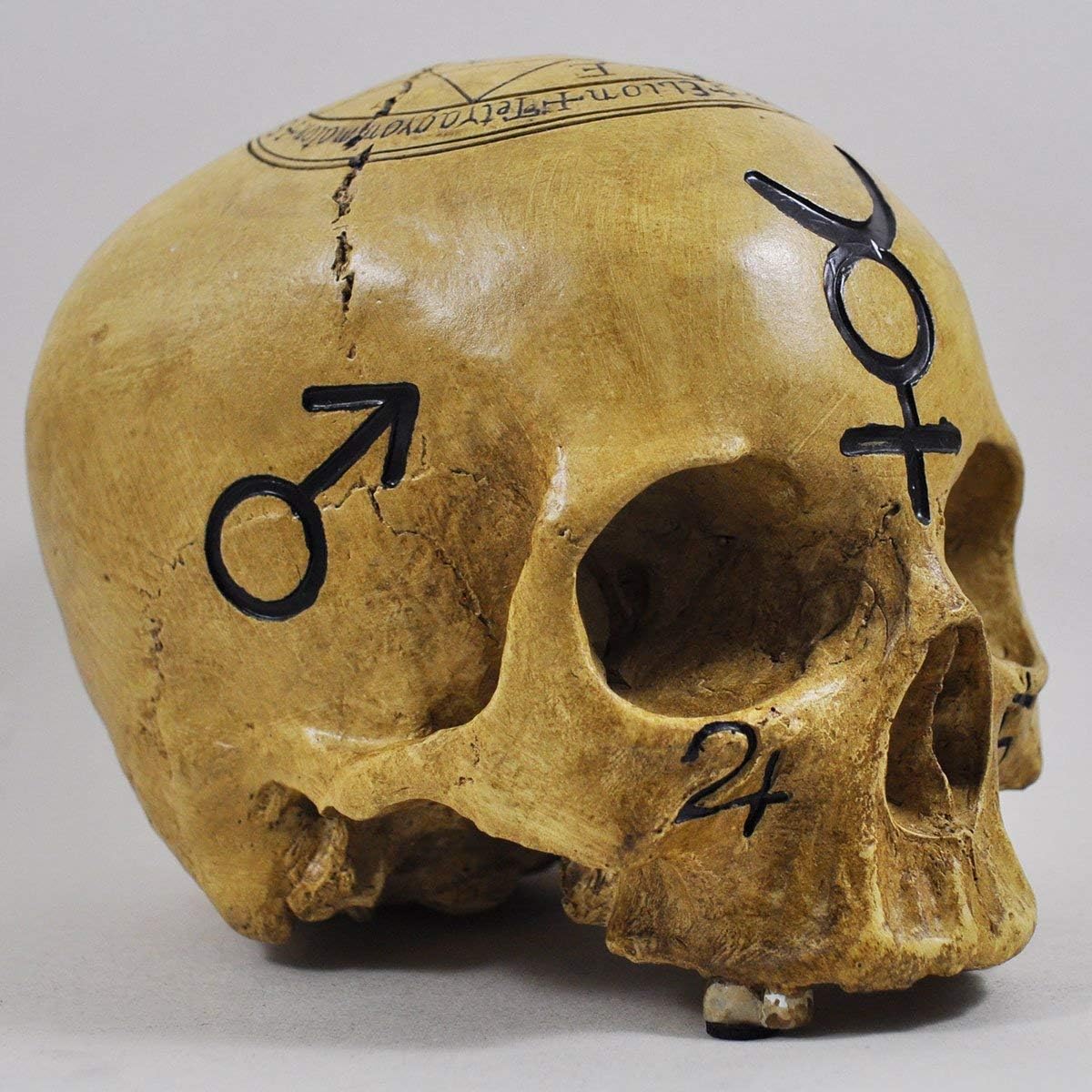 Witchcraft Skull Skull Ornament Decoration