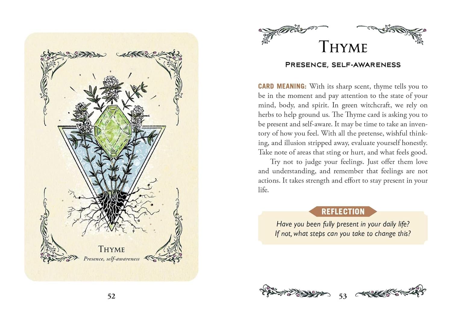 The Green Witch's Oracle Deck: Embrace the Wisdom and Insight of Natural Magic (Green Witch Witchcraft Series)