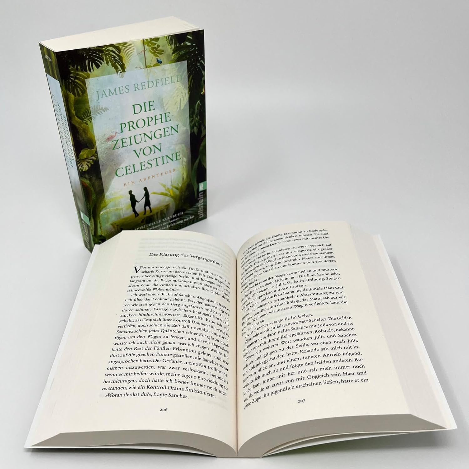 Die Prophezeiungen von Celestine: Ein Abenteuer. Das spirituelle Kultbuch | Neues Nachwort: Wie du deine eigene Celestine-Erfahrung machst