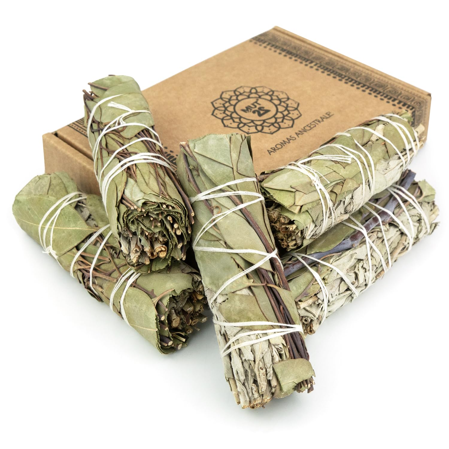 5 Weißer Salbei 10 cm Premium Kalifornischer, 100% natürlich und reinigend, ideal für spirituelle und energetische Rituale