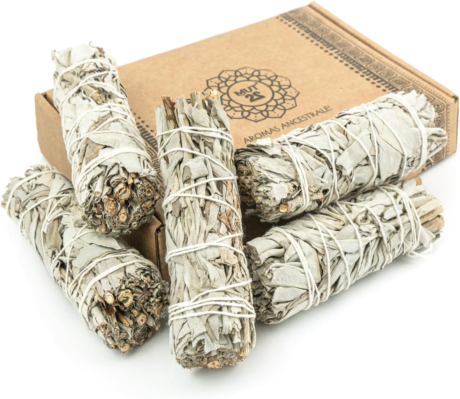 5 Weißer Salbei 10 cm Premium Kalifornischer, 100% natürlich und reinigend, ideal für spirituelle und energetische Rituale