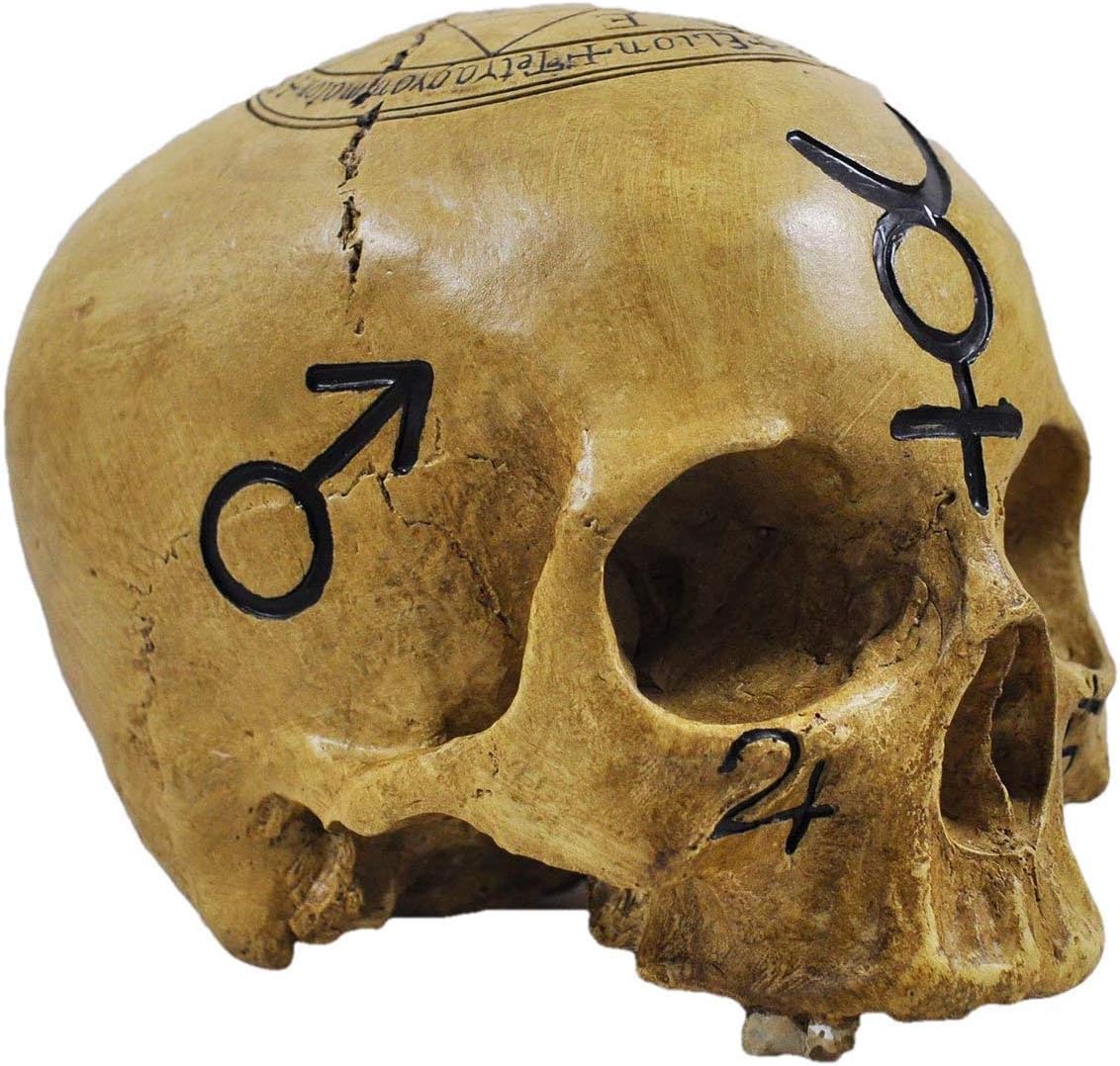 Witchcraft Skull Skull Ornament Decoration