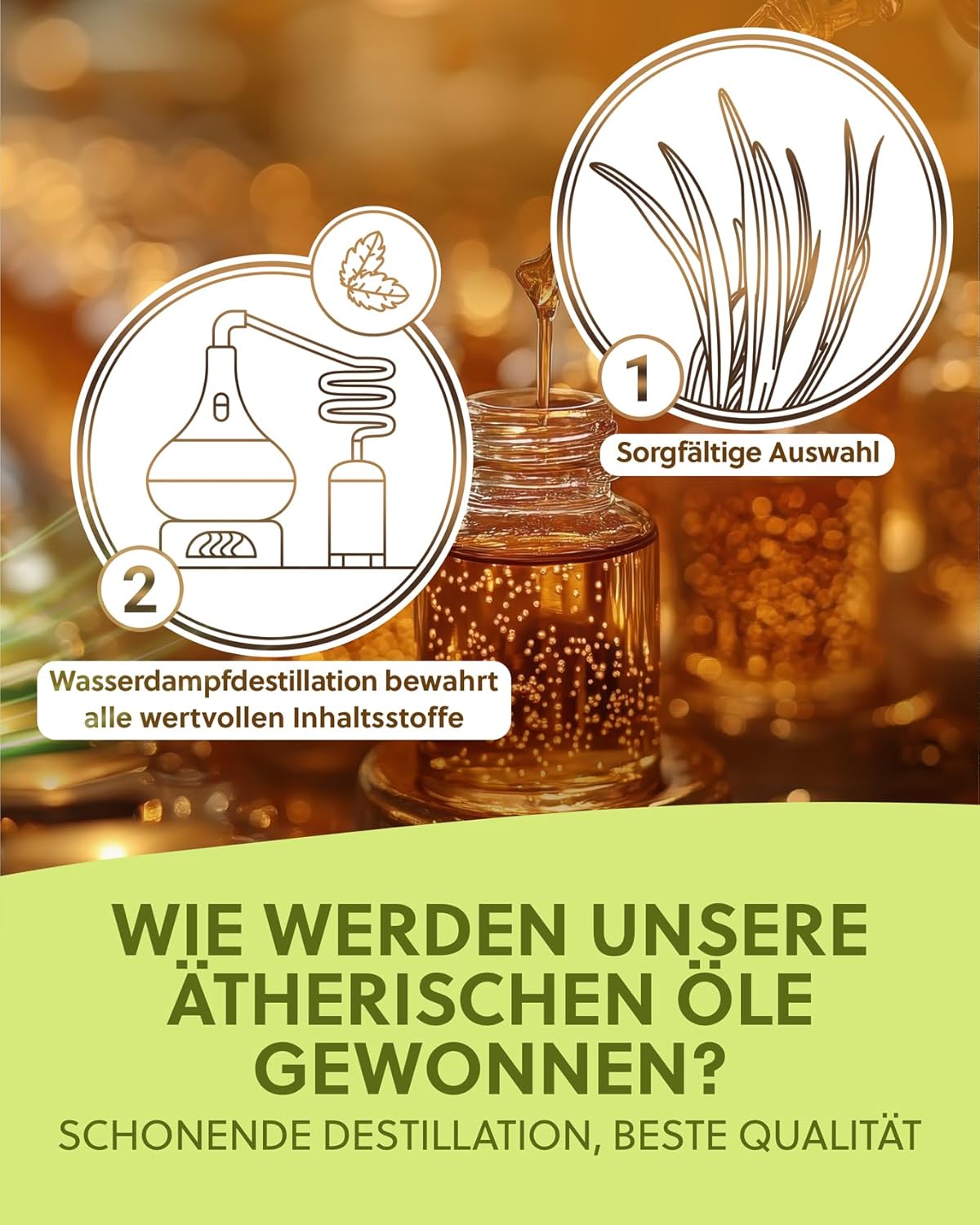 Lemongrass: