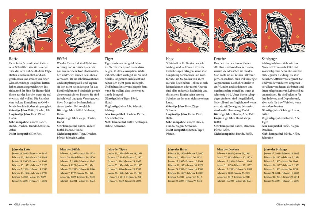 Wahrsagen: Die Kunst des Wahrsagens