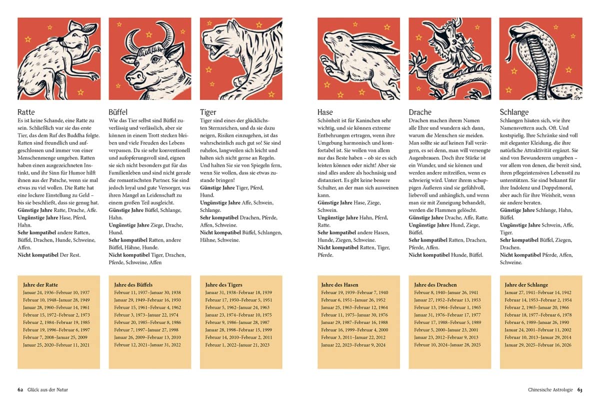 Wahrsagen: Die Kunst des Wahrsagens