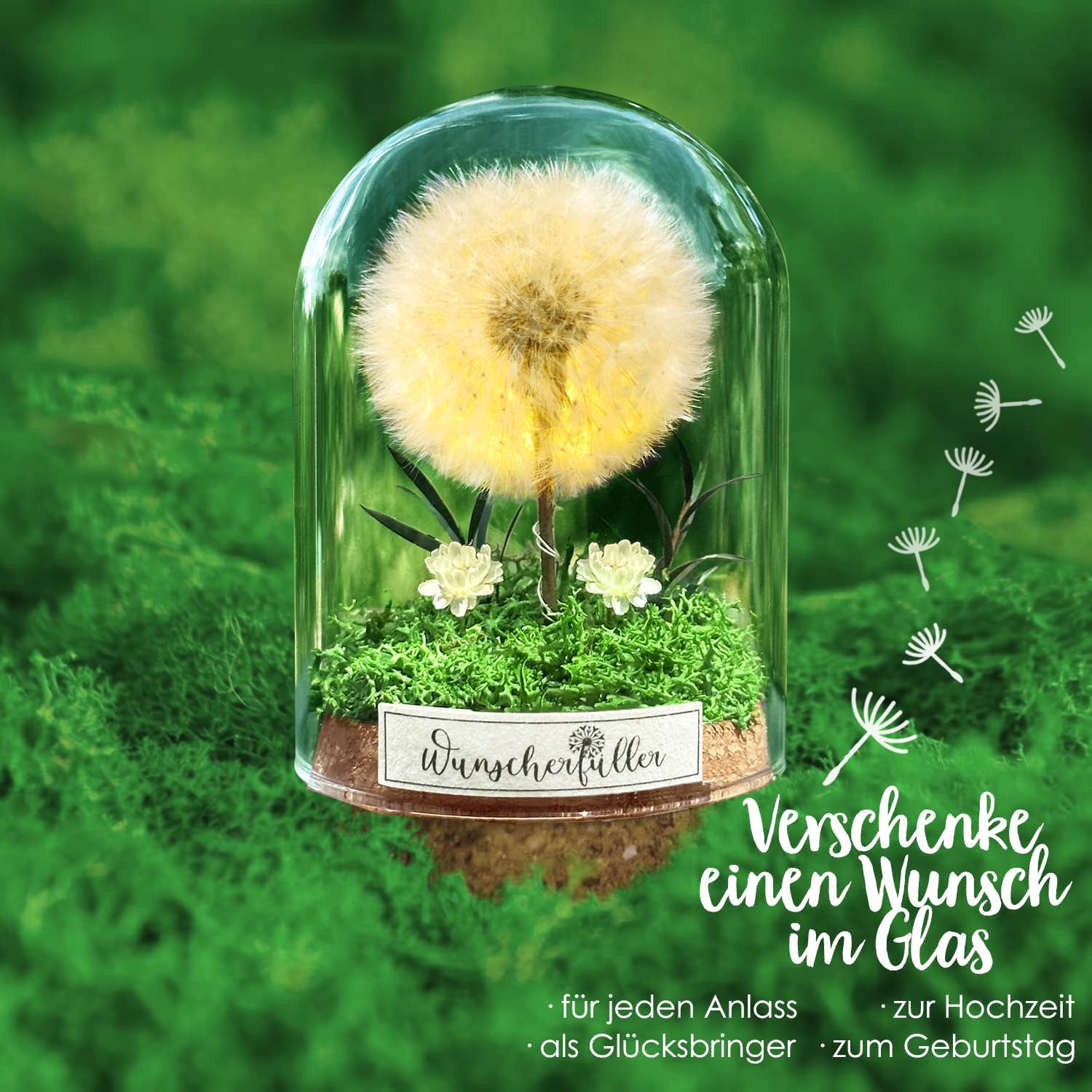 Wunscherfüller mit LED Licht, Echte Pusteblume im Glass, Ewig Geburtstagsgeschenk für Frauen Freundin Mädchen Geschenke für Geburtstag Hochzeit Jugendweihe Weihnachten Valentinstag