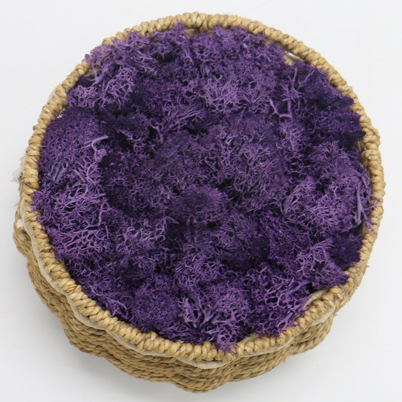 Artificial Eternal Life Moss