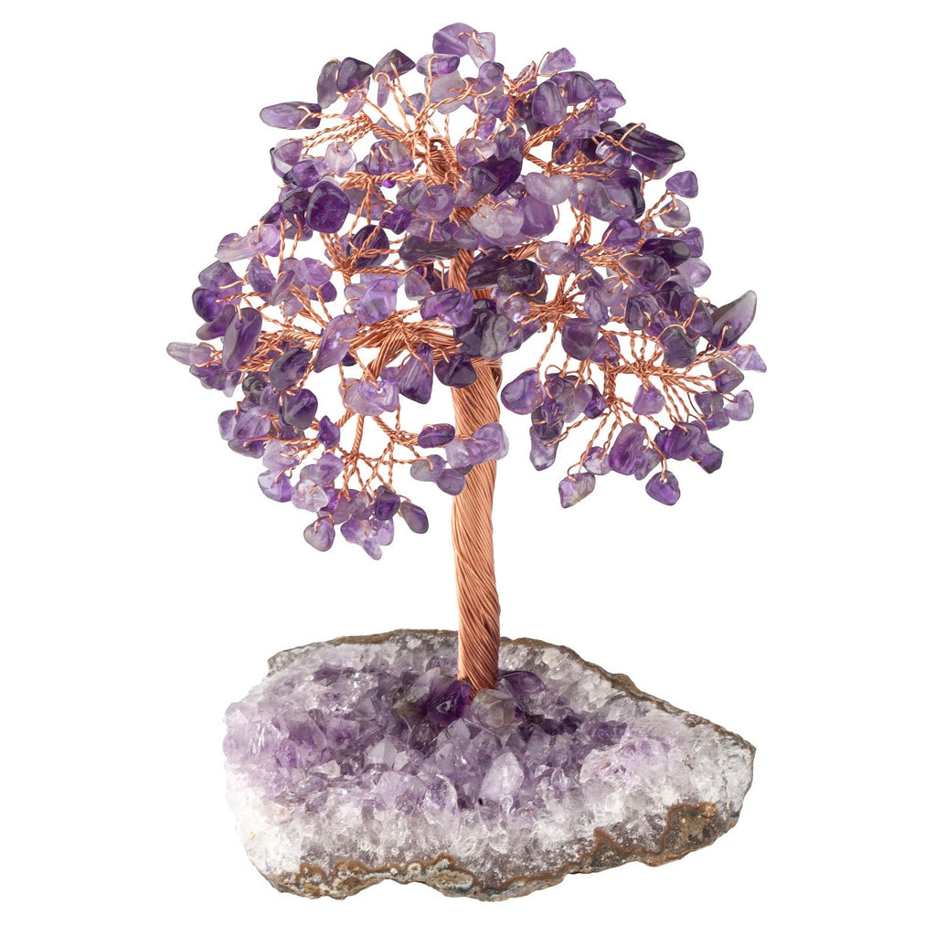 KYEYGWO Amethyst & Citrine Reiki Heilung Kristallbaum auf Natürlichen Amethyst Drusensegment Rohstück Base, Stein Geldbaum Feng Shui Bonsai Baum Figuren Ornament Haus Deko für Glück, Reichtum