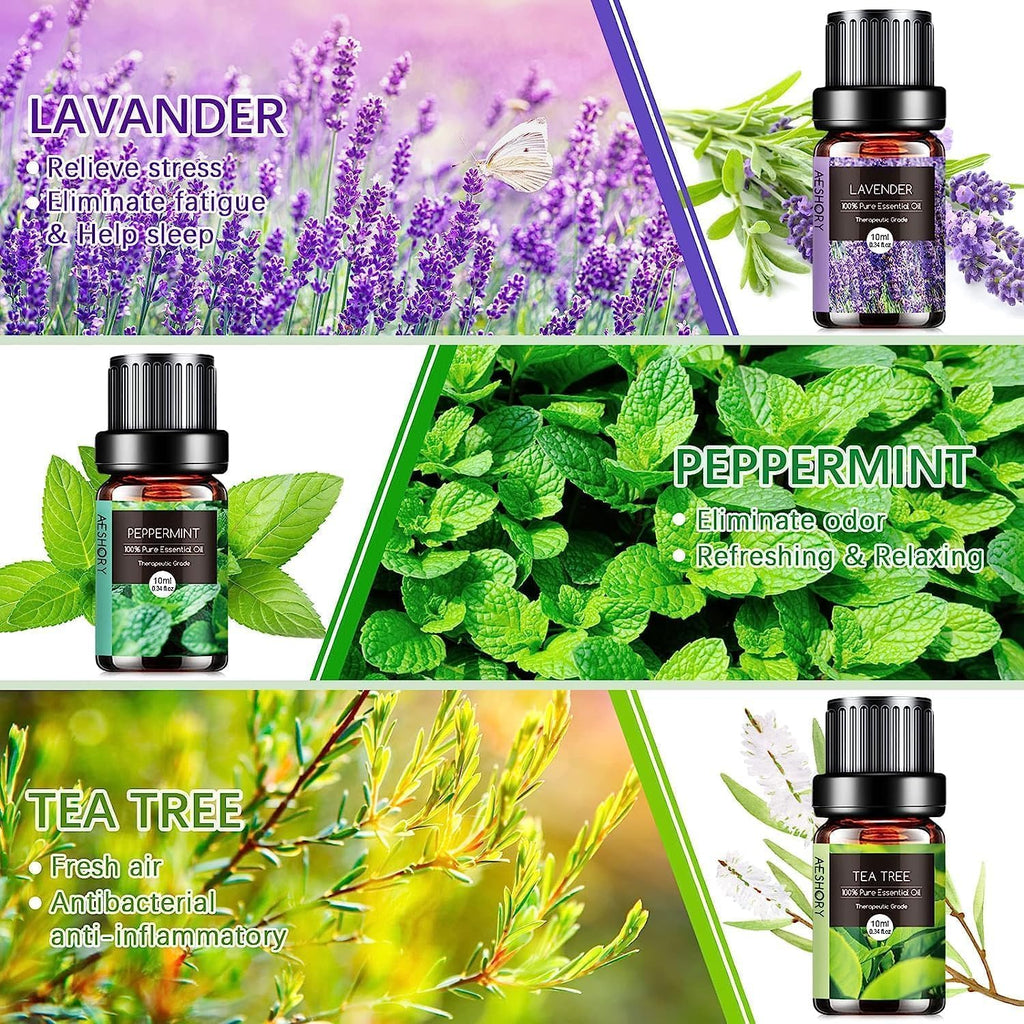 AESHORY Essential Oils Set for Diffuser 6 x 10 ml, 100% Natural Aromatherapy Fragrance Oil, Aroma Oil Gift Set for Soap, Candles, Humidifier, Spa - Lavender, Mint, Tea Tree, Sweet Orange, Eucalyptus