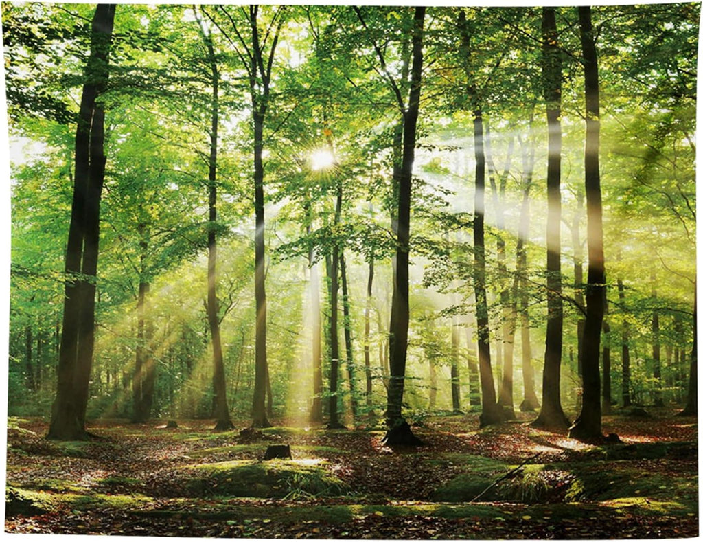 MIGIFTDY Waldbaum Wandteppich Extra Großer Nebliger Wald Wandbehang für Home Office Dorm Indoor und Outdoor Dekoration 150 cm x 200 cm (B)