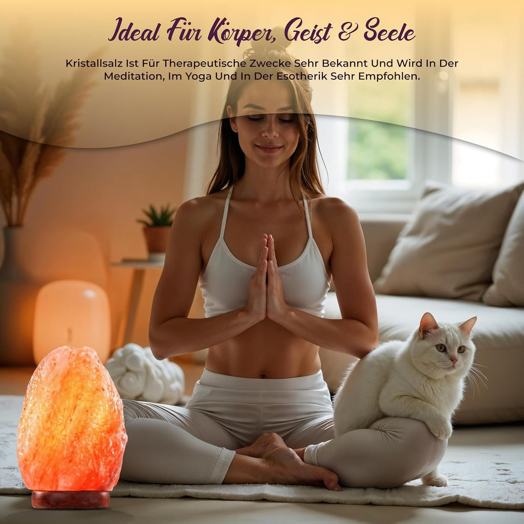 Heimtex Himalaya Salt Lamp - Natural Shape Salt Crystal Lamp from the Salt Range - 4-7 kg Salt Lamp with Cable and Replaceable Light Bulb Made of Pure Salt Stone