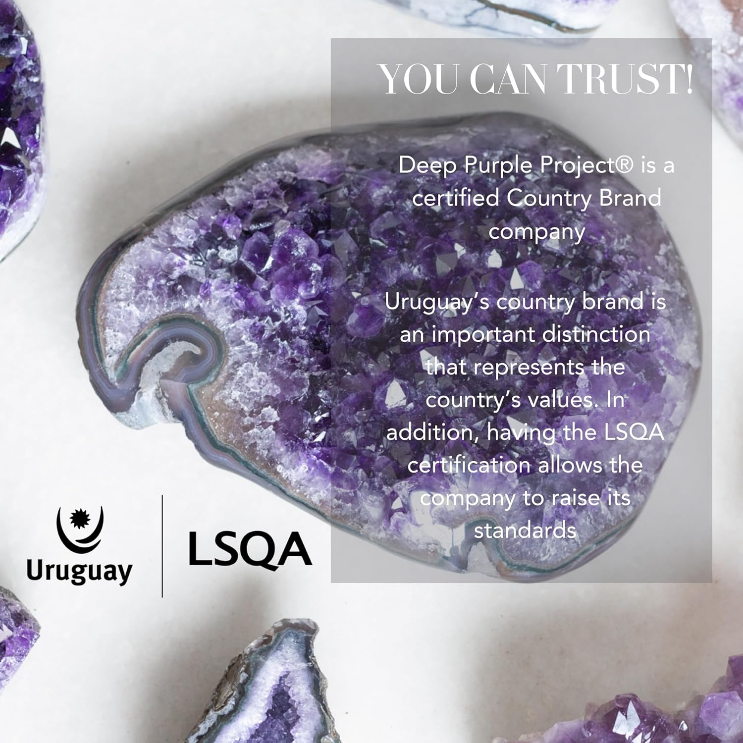 Deep Purple Project Amethyst Druse Stein Echt (250 gramm bis 500), Amethyst Geode Groß, Kristalldruse aus Uruguay