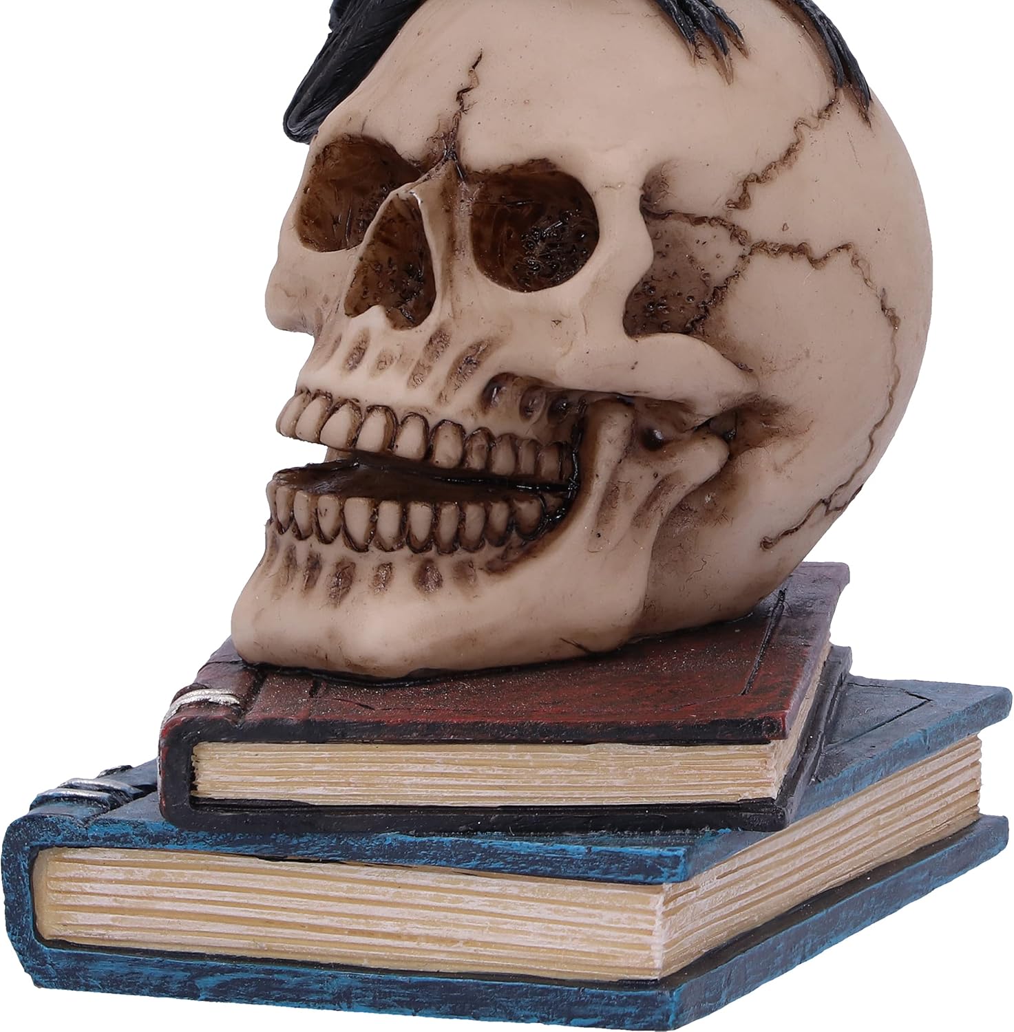 Nemesis Now Raven's Spell 10,3 cm, Schwarz