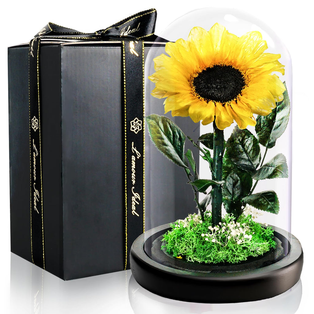 Ewige Rose Engel Geschenke für Mama, Ewige Rose in Engel Glaskuppel für Sie, Infinity Rosen Konservierte Blumen Handgemachte, Engelsfigur aus Glas, Geschenk für Frauen Mutter Oma Großmutterk