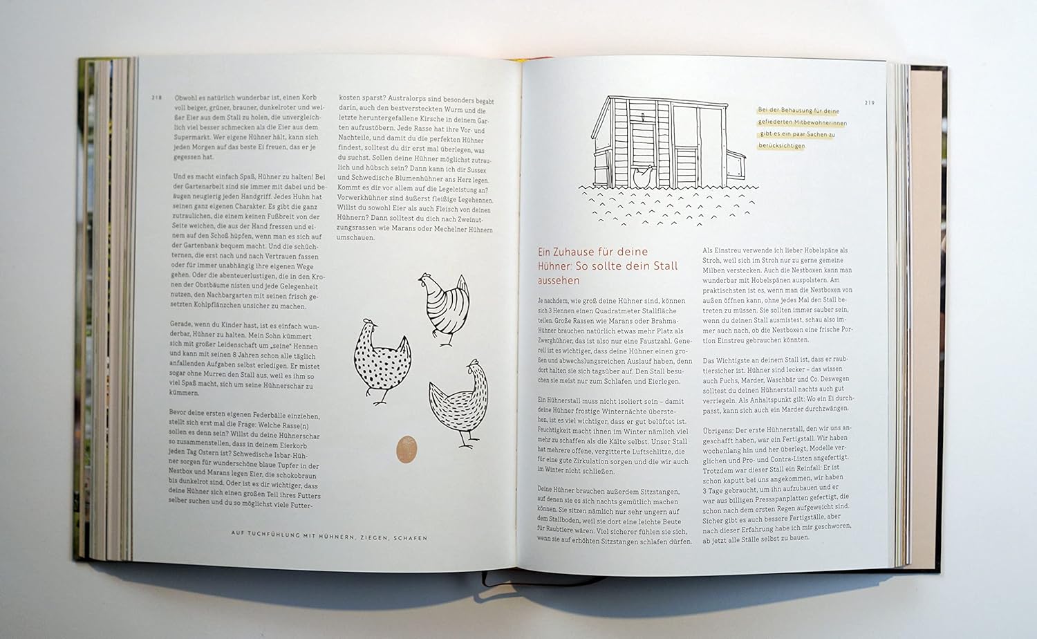 Selbstversorgung: Dein eigenes Gemüse anbauen, mit Hühnern kuscheln, in selbstgebackenes Brot beißen. Deutscher Gartenbuchpreis 2023, 1. Platz Bester Ratgeber