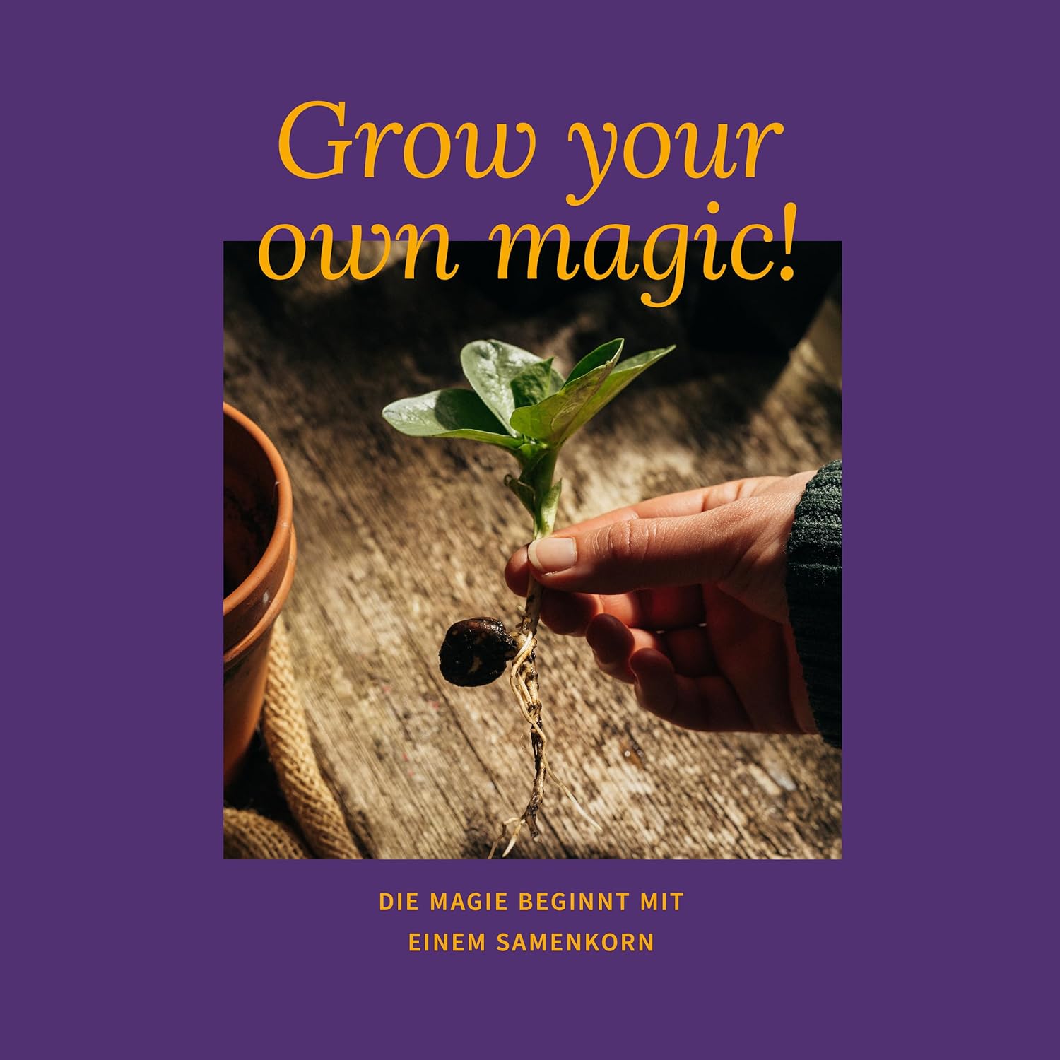 Magic Garden Seeds - Magic Plants with 6 Magic Herbs: Mugwort, Bilsenkraut, Alraune & More - Smoked Plants to Grow Yourself & Give as a Gift