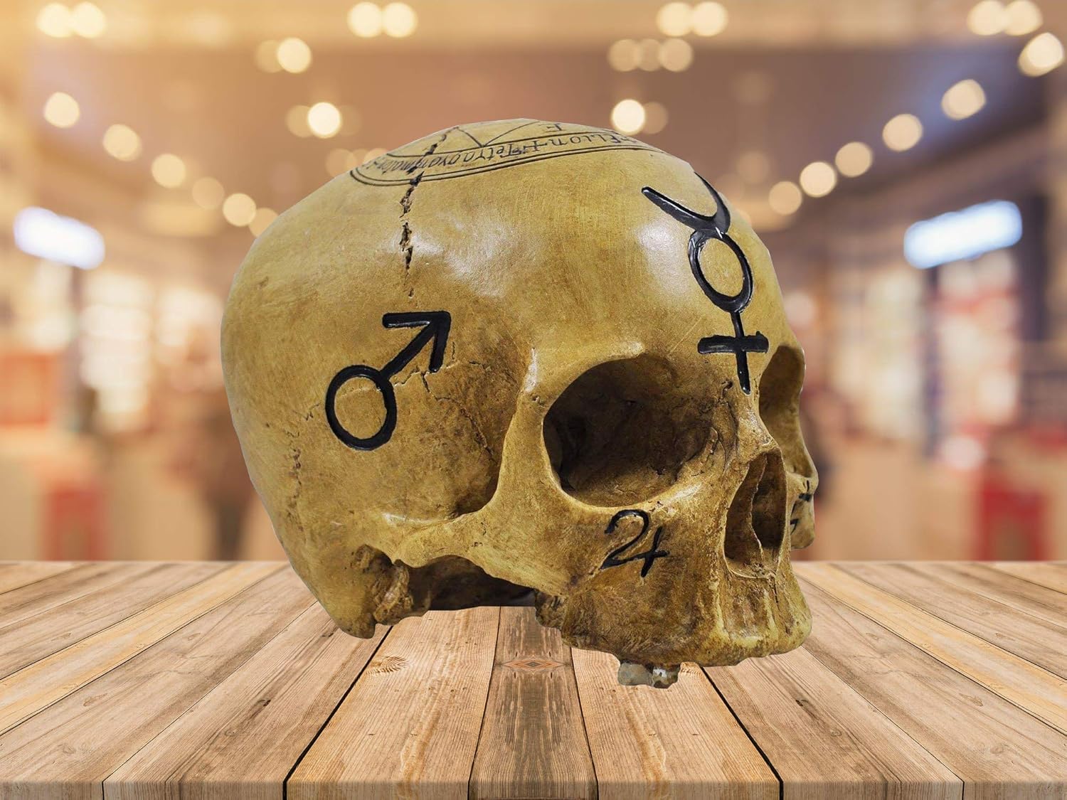 Witchcraft Skull Skull Ornament Decoration