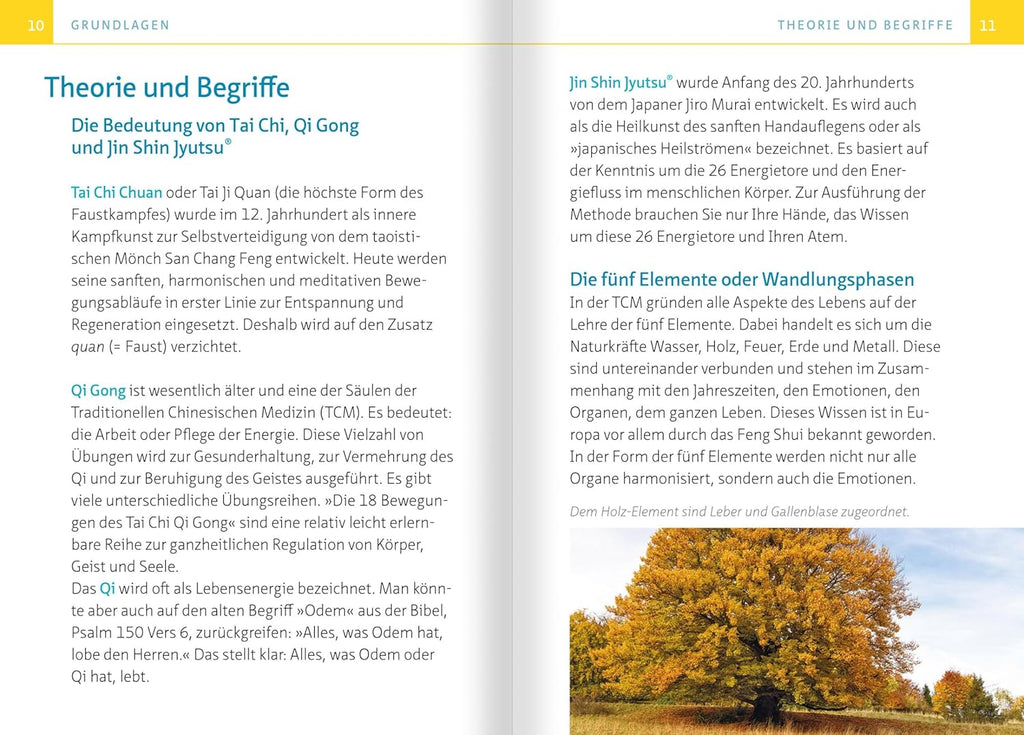 Tai Chi für zwischendurch. Kompakt-Ratgeber: Neue Energie durch einfache Übungen