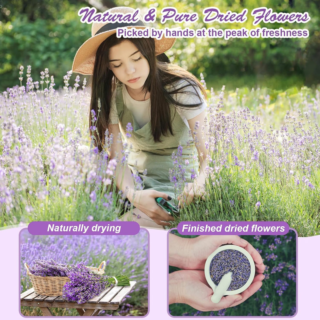 Dried Herbs and Flowers for Candle Soap Making, Lavender Rose for DIY Craft | 50 Bags Witchcraft Herbs for Altar Decor, Pagan Ritual, Bulk Botanical Jasmine Peony Rosemary Ideal for Resin Pressed Flowers