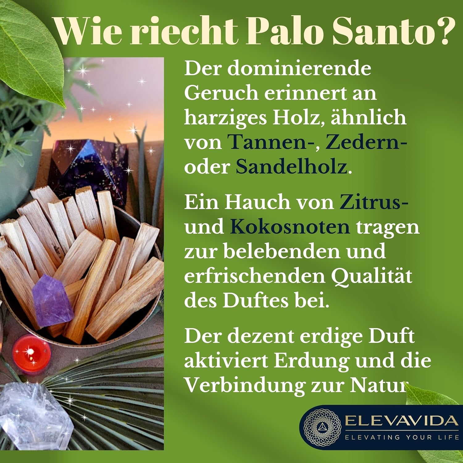 ELEVAVIDA Palo Santo 90g (9–11 Stäbe) aromatisch duftendes Räucherholz aus Peru, nachhaltig gesammelt zur Entspannung, Meditation, energetische Reinigung von Räumen - Bursera Graveolen - heiliges Holz