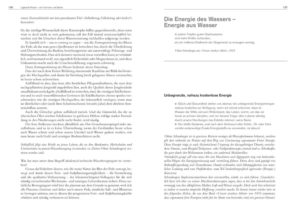 Das Wesen des Wassers: Die wichtigsten Originaltexte von Viktor Schauberger – Herausgegeben und kommentiert von Jörg Schauberger. Grundlagen der modernen Wasserforschung und visionäre Erkenntnisse