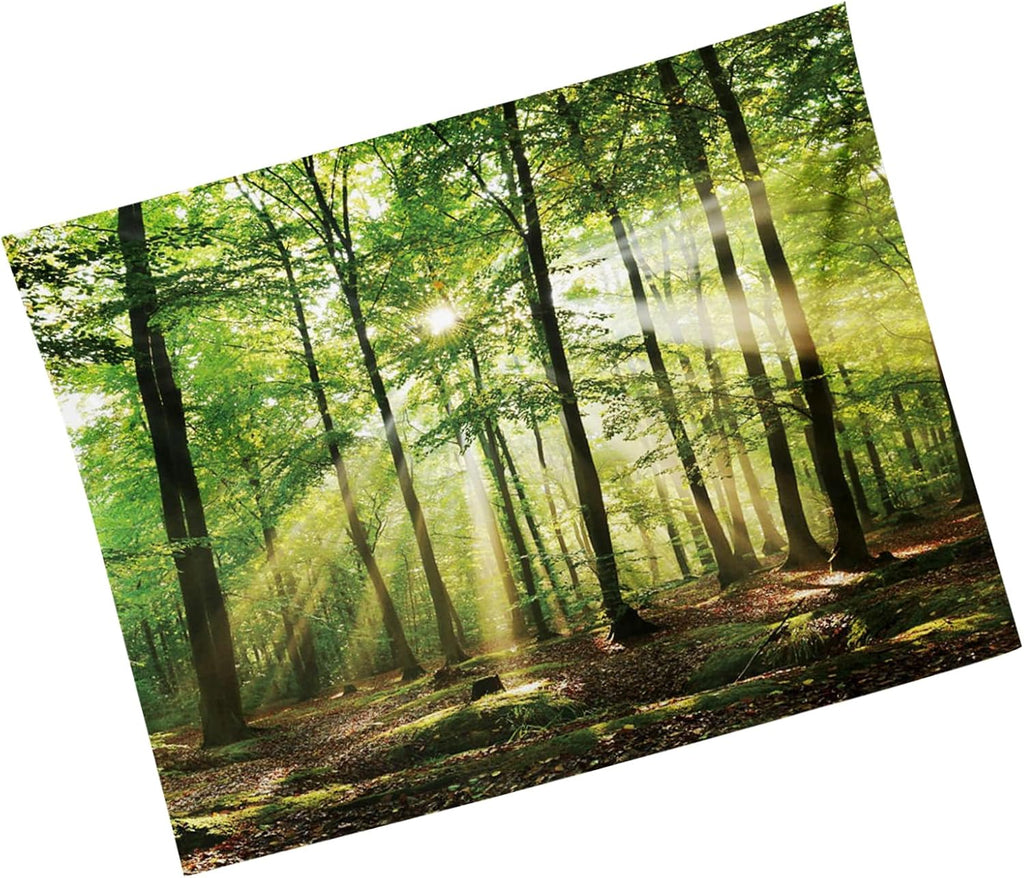 MIGIFTDY Waldbaum Wandteppich Extra Großer Nebliger Wald Wandbehang für Home Office Dorm Indoor und Outdoor Dekoration 150 cm x 200 cm (B)