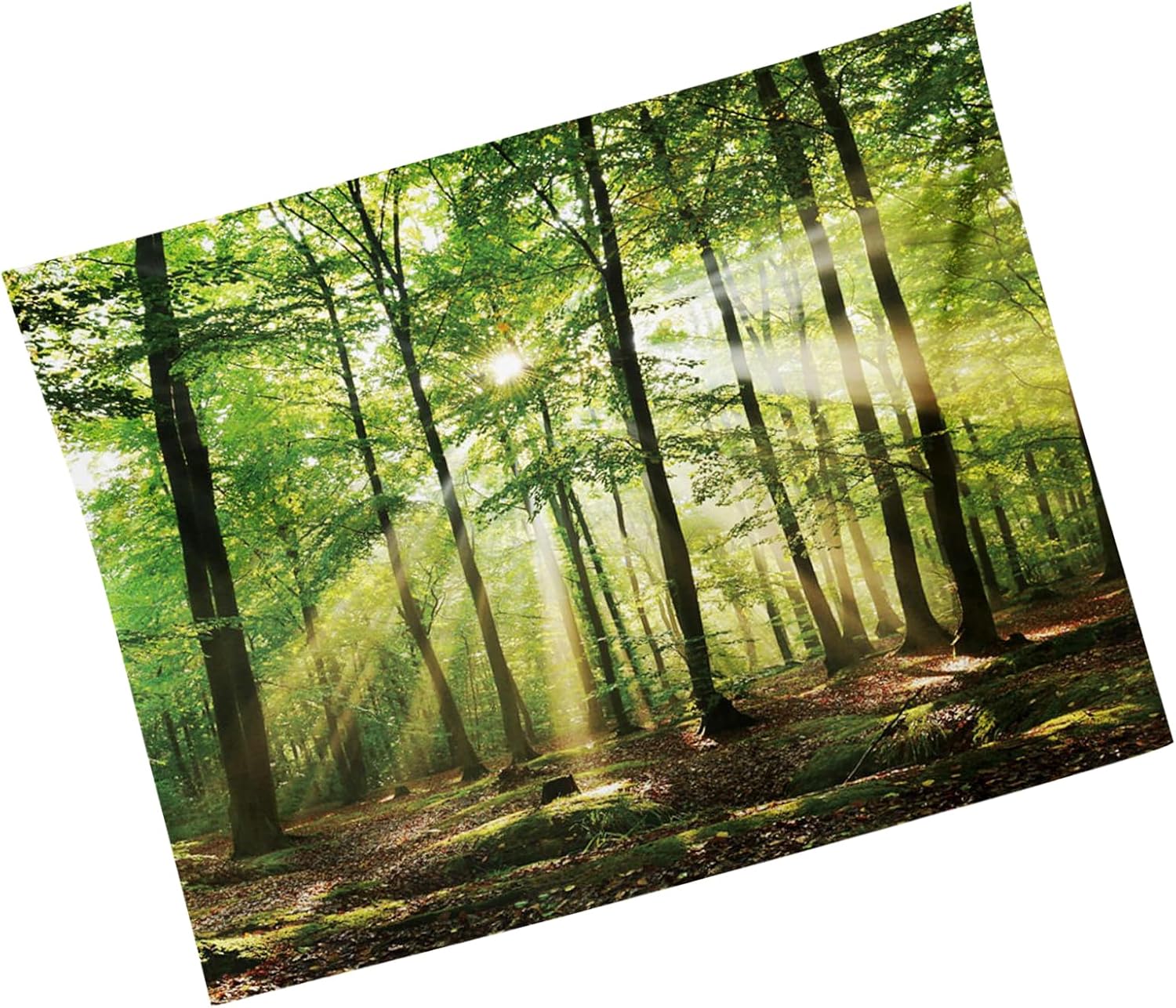 MIGIFTDY Waldbaum Wandteppich Extra Großer Nebliger Wald Wandbehang für Home Office Dorm Indoor und Outdoor Dekoration 150 cm x 200 cm (B)