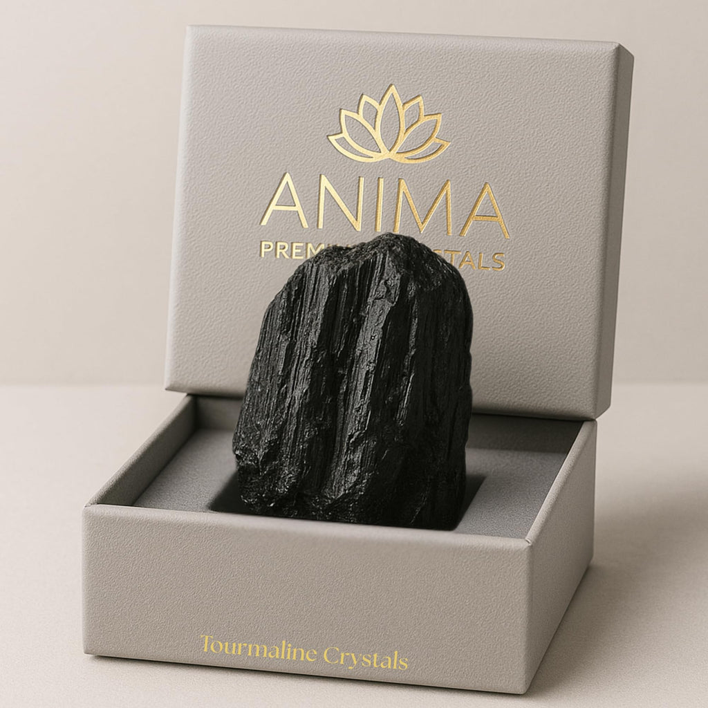 Anima Citrin Kristall – Groß 4–5 cm Strahlend Gelber Naturbelassener Rauer Citrin stein für Fülle, Positivität & Selbstvertrauen – Ethisch Gewonnen, Präsentiert in Eleganter Geschenkbox