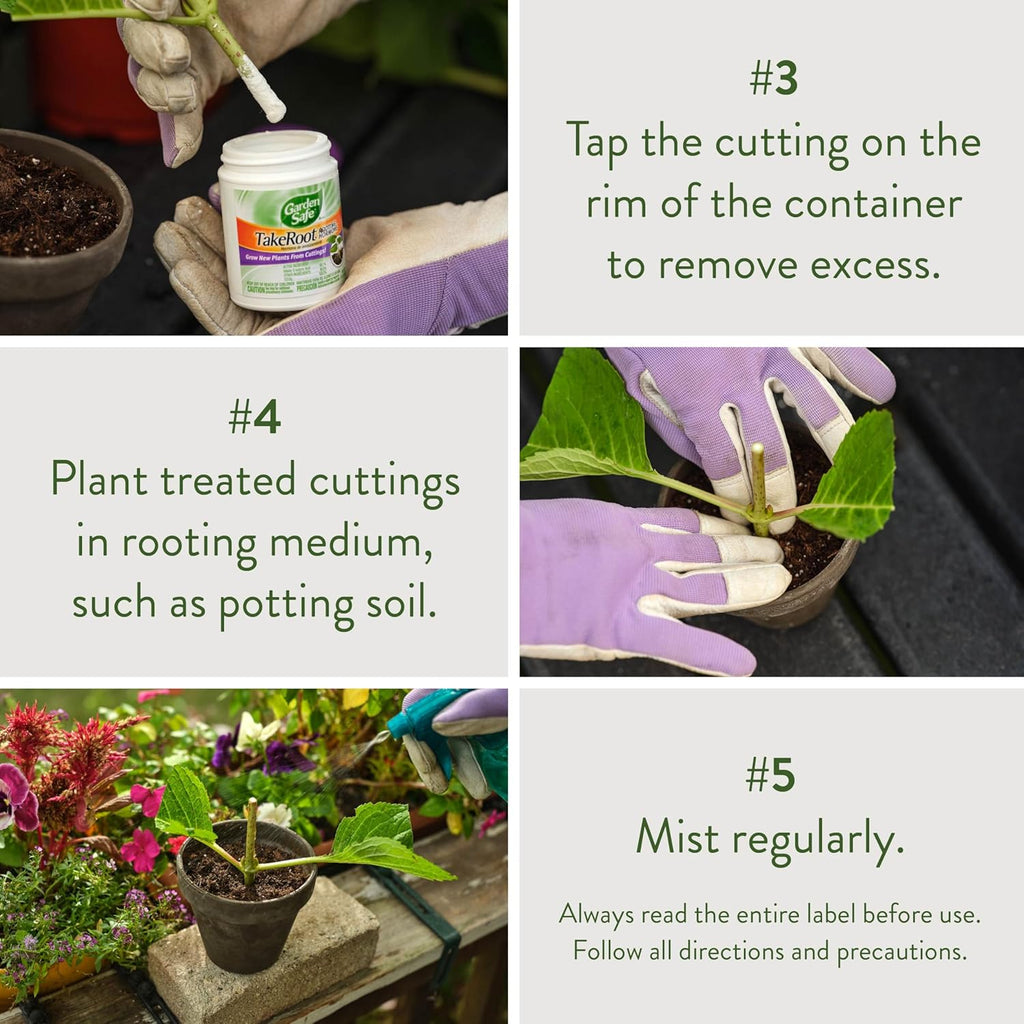 Garden Safe Wurzelwurzelhormon, fördert die Wurzelbildung, wächst Neue Pflanzen aus Stecklingen, (12er-Pack) 57 ml